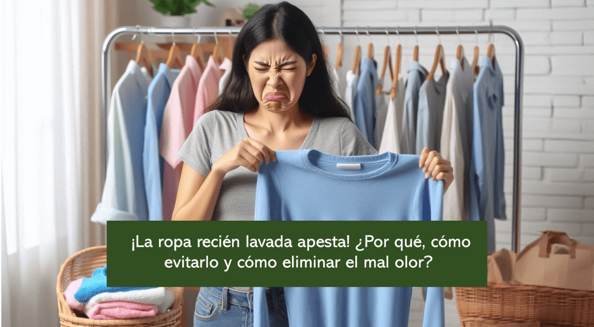 ¡La ropa secada dentro de casa apesta! ¿Por qué, cómo evitarlo y cómo ...